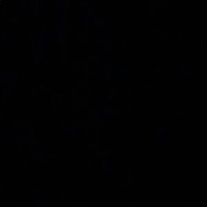 Meet your Posher, Ella kate